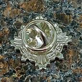 Знак фрачный За отличие в службе ГИБДД 2 степени серебристый (2302050) - ВОЕНТОРГ ТЫЛОВИК