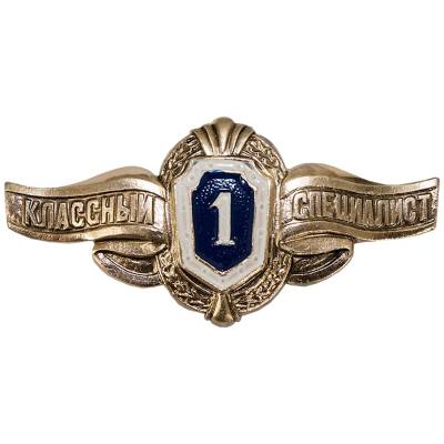 Знак нагрудный Классность рядового состава 1 класс булавка (2301997) - HAKKI.RU
