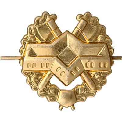Эмблема ( знак ) петличная ( петлица ) Спецстрой золотая (2102093) - HAKKI.RU