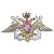 Наклейка металлизированная ВМФ России 47х29 (4420071) - HAKKI