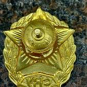 Знак нагрудный СВУ ( Суворовское военное училище ) закрутка золотистый (2301077) - ВОЕНТОРГ ТЫЛОВИК
