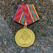 Медаль ФСВНГ ( Росгвардия ) РФ - За заслуги в труде (2401961) - ВОЕНТОРГ ТЫЛОВИК