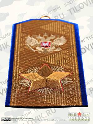 Вымпел средний с вышивкой Маршал ФСБ (4503025) - HAKKI.RU