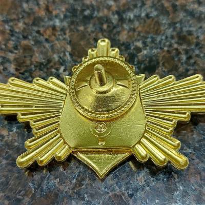 Знак нагрудный Рота почетного караула РВСН закрутка (2301056) - HAKKI.RU