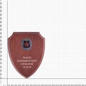 Плакетка ( панно ) с символикой ГРУ ГШ ВС РФ 250х200 (4406077) - ВОЕНТОРГ ТЫЛОВИК
