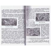 Книга ( учебник ) Маскировка / Военная разведка (4317143) - ВОЕНТОРГ ТЫЛОВИК