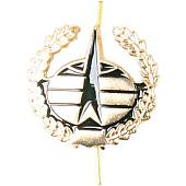 Эмблема ( знак ) петличная ( петлица ) Космические войска (неуставная) золотая (2102114) - ВОЕНТОРГ ТЫЛОВИК