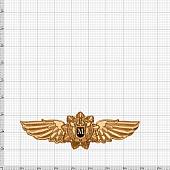 Знак нагрудный Классность офицерского состава ФСО России МАСТЕР закрутка (2301295) - ВОЕНТОРГ ТЫЛОВИК