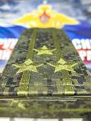 Погоны общевойсковые полевые камуфлированные на куртку ПОЛКОВНИК цифра зеленая (2208205) - ВОЕНТОРГ ТЫЛОВИК