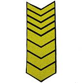 Знак - годичка ( нашивка шеврон ) нарукавный за выслугу лет ( по годам службы ) 24 года вышитый (2508049) - ВОЕНТОРГ ТЫЛОВИК
