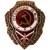 Знак нагрудный Отличник ПВО (2305017) - HAKKI.RU Знак нагрудный Отличник ПВО (2305017) - HAKKI.RU