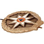 Эмблема ( знак ) петличная ( петлица ) МЧС России с тонировкой золотистая (2102106) - ВОЕНТОРГ ТЫЛОВИК