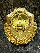 Знак нагрудный ФСВНГ ( Росгвардия ) РФ ОТЛИЧНИК СЛУЖБЫ В МЕДИЦИНСКИХ ЧАСТЯХ (2301623) - ВОЕНТОРГ ТЫЛОВИК