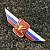 Знак должностной Начальника высшего военного училища ( ВВУ ) закрутка (2309017) - HAKKI