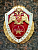Знак нагрудный ФСВНГ ( Росгвардия ) РФ ОТЛИЧНИК СЛУЖБЫ в воинских частях (подразделениях) специального назначения, разведывательных в/ч (2301630) - HAKKI