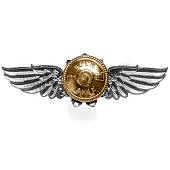 Знак нагрудный Классность офицерского состава ФСО России 3 класс закрутка (2301298) - ВОЕНТОРГ ТЫЛОВИК