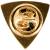 Знак фрачный Спецназ / Военная разведка на пимсе (2302044) - HAKKI.RU