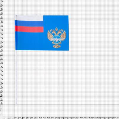 Флаг Министерство транспорта РФ 15х22 (4705073) - HAKKI.RU