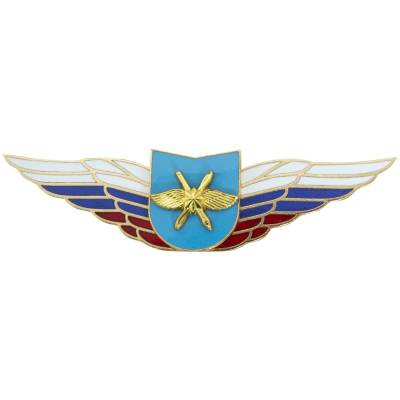 Знак должностной Командира учебной части ВКС закрутка (2309062) - HAKKI.RU