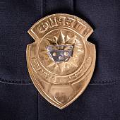 Знак ( жетон ) нагрудный ШЕРИФ служба охраны (2304986) - ВОЕНТОРГ ТЫЛОВИК