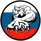 Наклейка на авто виниловая Медведь триколор D-10 (12015023) - ВОЕНТОРГ ТЫЛОВИК