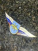 Знак должностной Командира бригады и ей равного соединения ВКС закрутка (2309063) - ВОЕНТОРГ ТЫЛОВИК