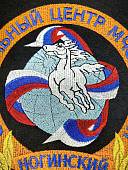 Вымпел с символикой Ногинский спасательный центр МЧС России вышитый большой 21,7х28,8 черный (4504085) - ВОЕНТОРГ ТЫЛОВИК