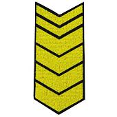 Знак - годичка ( нашивка шеврон ) нарукавный за выслугу лет ( по годам службы ) 22 года вышитый на липучке (2508022) - ВОЕНТОРГ ТЫЛОВИК