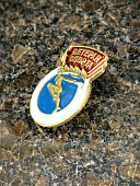 Знак нагрудный ВЕТЕРАН СПОРТА пимса (2303042) - ВОЕНТОРГ ТЫЛОВИК