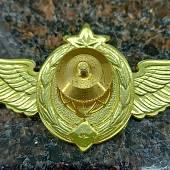 Знак нагрудный Классность ВКС 1 класс закрутка (2301184) - ВОЕНТОРГ ТЫЛОВИК