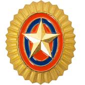 Кокарда МЧС России золотистая (2105202) - ВОЕНТОРГ ТЫЛОВИК