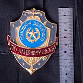 Знак ( жетон ) нагрудный ПОМОЩНИК ДЕЖУРНОГО ПО ЛАГЕРНОМУ СБОРУ (2304013) - ВОЕНТОРГ ТЫЛОВИК