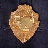 Знак ( жетон ) нагрудный ПОМОЩНИК ДЕЖУРНОГО ПО ДИВИЗИОНУ (2304016) - ВОЕНТОРГ ТЫЛОВИК