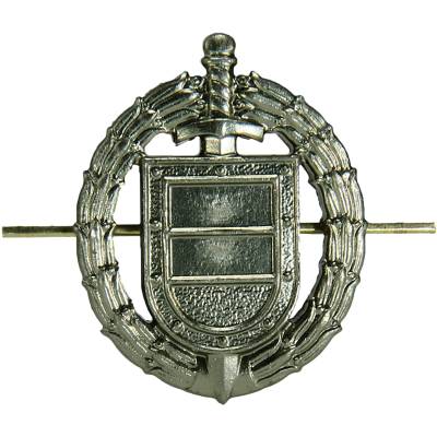 Эмблема ( знак ) петличная ( петлица ) ФСО России защитная (2102075) - HAKKI.RU