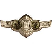 Знак нагрудный Классность рядового состава Мастер на пимсе (2301994) - ВОЕНТОРГ ТЫЛОВИК