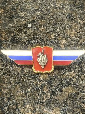 Знак должностной Военной академии / университета закрутка (2309030) - HAKKI.RU