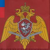 Флаг Федеральной службы войск национальной гвардии Российской Федерации 30х40 (4703018) - ВОЕНТОРГ ТЫЛОВИК