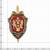 Жетон ( знак ) ФСБ 52 мм без крепления (2306002) - HAKKI.RU