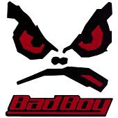 Наклейка на авто виниловая светоотражающая Bad Boy 12,5х11,5 (12019011) - ВОЕНТОРГ ТЫЛОВИК