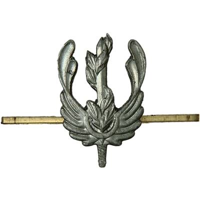 Эмблема ( знак ) петличная ( петлица ) Экологическая служба защитная (2102007) - HAKKI.RU