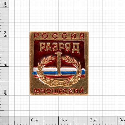 Знак нагрудный I юношеский разряд (2303020) - HAKKI.RU
