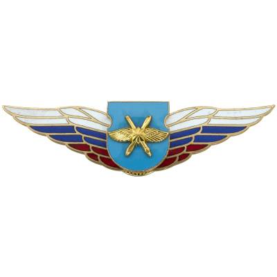 Знак должностной Командира отдельного батальона ВКС закрутка (2309040) - HAKKI.RU