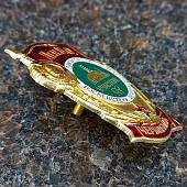 Знак нагрудный Участник ликвидации последствий аварии на АЭС Чернобыль ЛенВО (2301172) - ВОЕНТОРГ ТЫЛОВИК