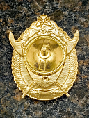 Знак нагрудный ФСВНГ ( Росгвардия ) РФ ОТЛИЧНИК БОЕВОЙ СЛУЖБЫ 3 степени / 100 (2301640) - ВОЕНТОРГ ТЫЛОВИК