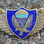 Знак нагрудный Спецназ крылья ВДВ орел закрутка (2301234) - ВОЕНТОРГ ТЫЛОВИК