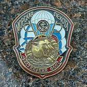 Знак нагрудный Морская пехота Балтийский флот (2301205) - ВОЕНТОРГ ТЫЛОВИК